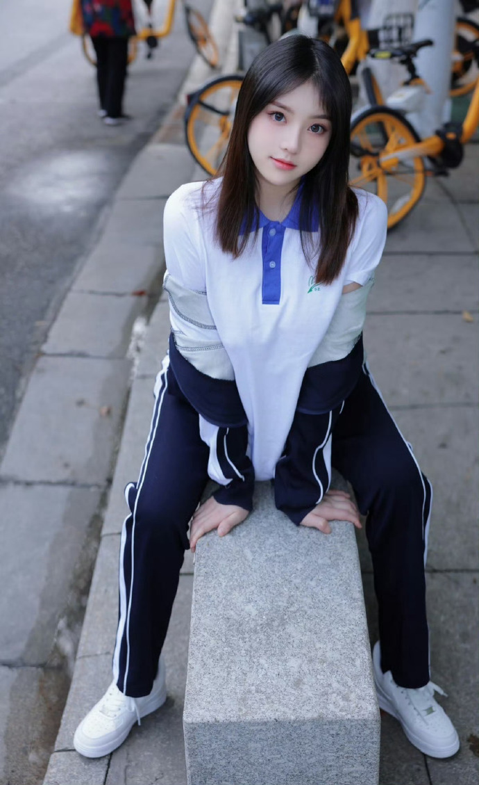 甄嬛传 封面